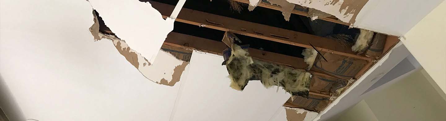 Seepage Repair in Ceiling Mumbai: Expert Solutions for Leak-Free Homes